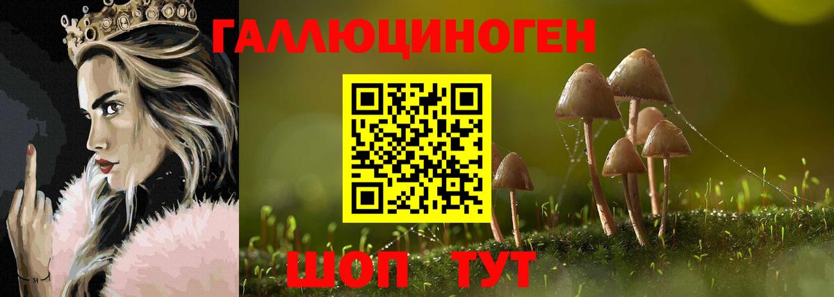 Псилоцибиновые грибы мицелий  наркотики  Спасск-Дальний  Вход с VPN 